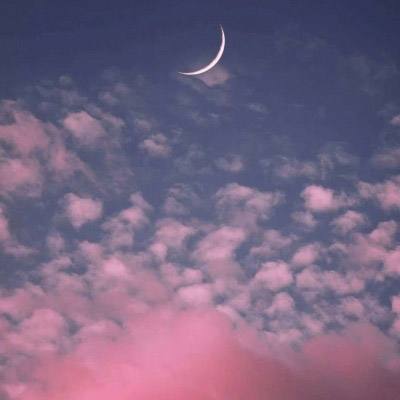 双赢彩票官方网站下载手机版