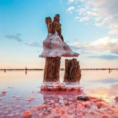 电子游戏bbin官方