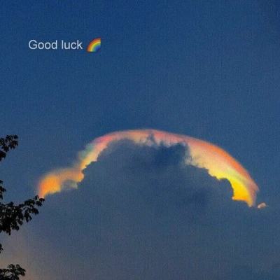 管家婆期期四肖四码中特管家