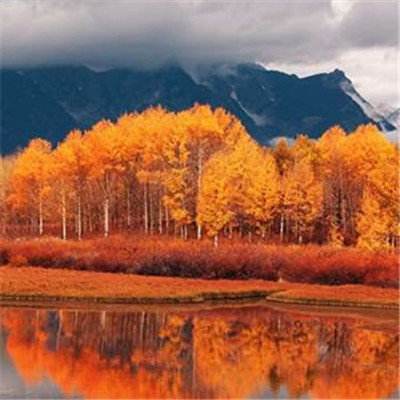 best365官网手机版下载手机版